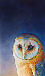 Barn owl III