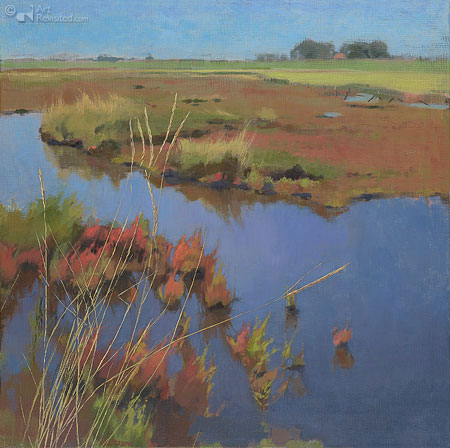 Wetlands at Koudekerke
