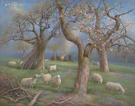 Sheep in the orchard