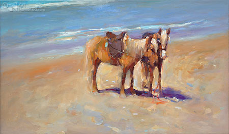 Marokkaanse paardjes