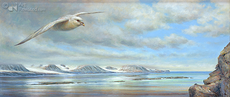Noordse stormvogel