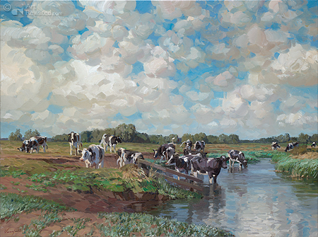 Koeien zoeken verkoeling in de rivier