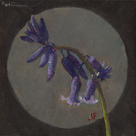 Wilde Hyacint 2