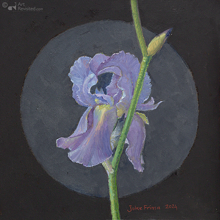 Dalmatische Iris