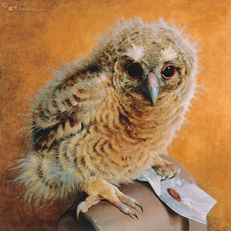 Tawny owl chick