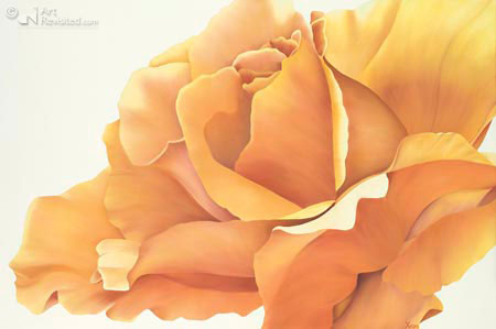 Oranje/gouden roos